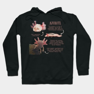 Animal Facts - Axolotl Hoodie